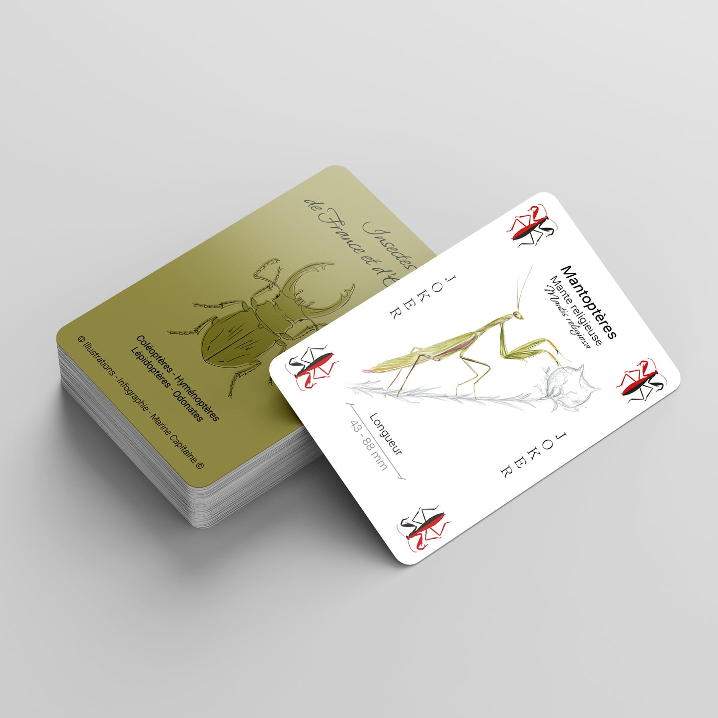 Jeu de 54 cartes, Insectes