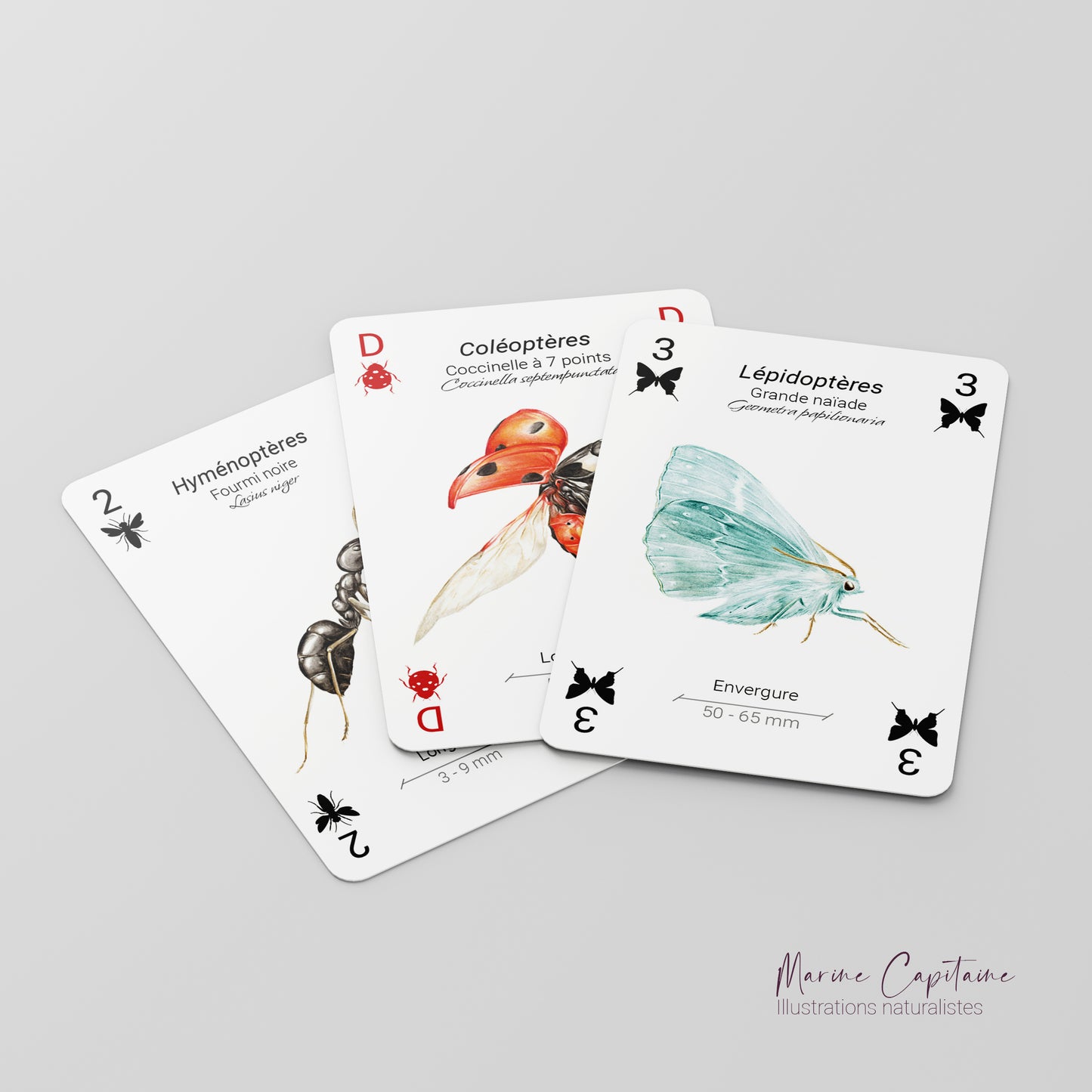 Jeu de 54 cartes, Insectes