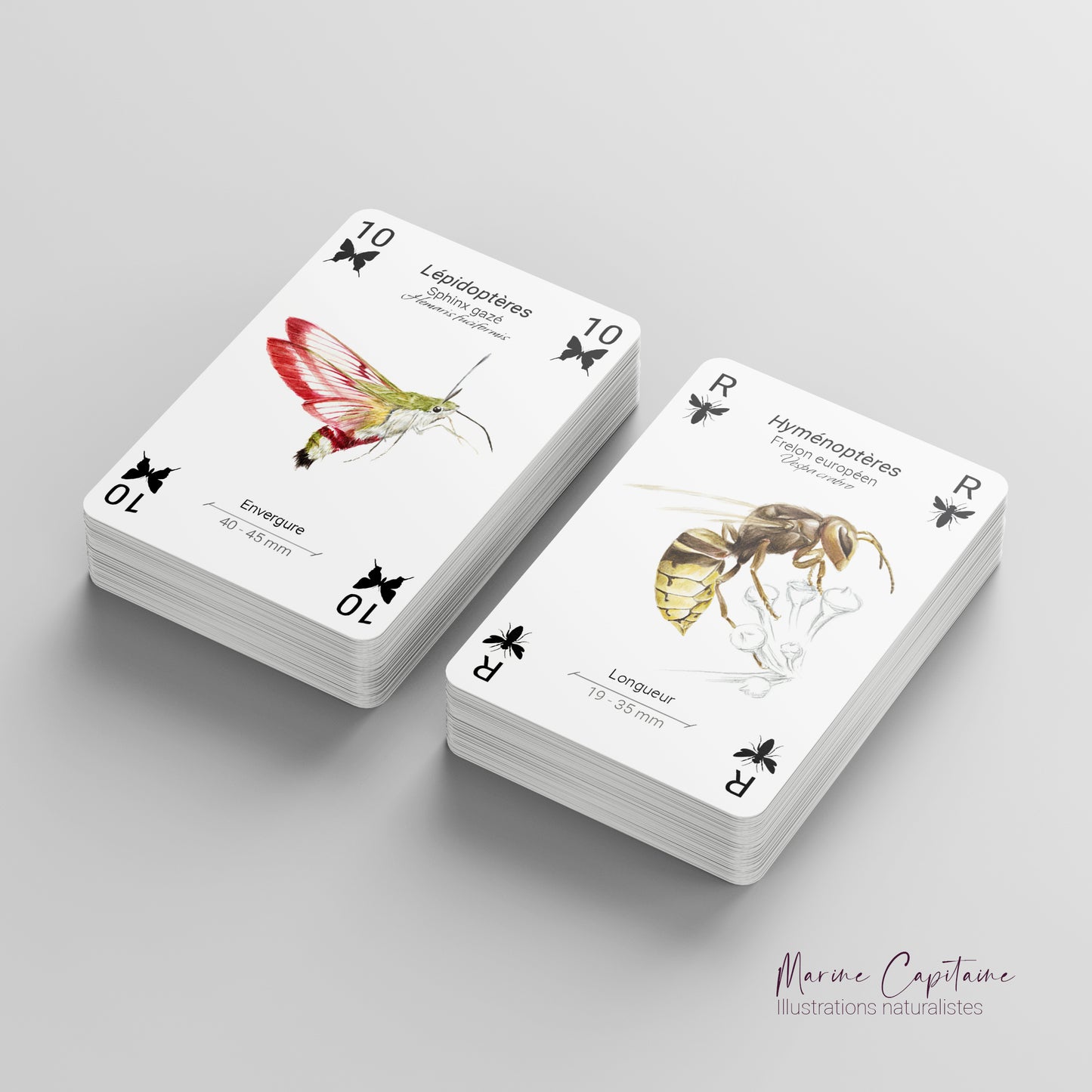 Jeu de 54 cartes, Insectes