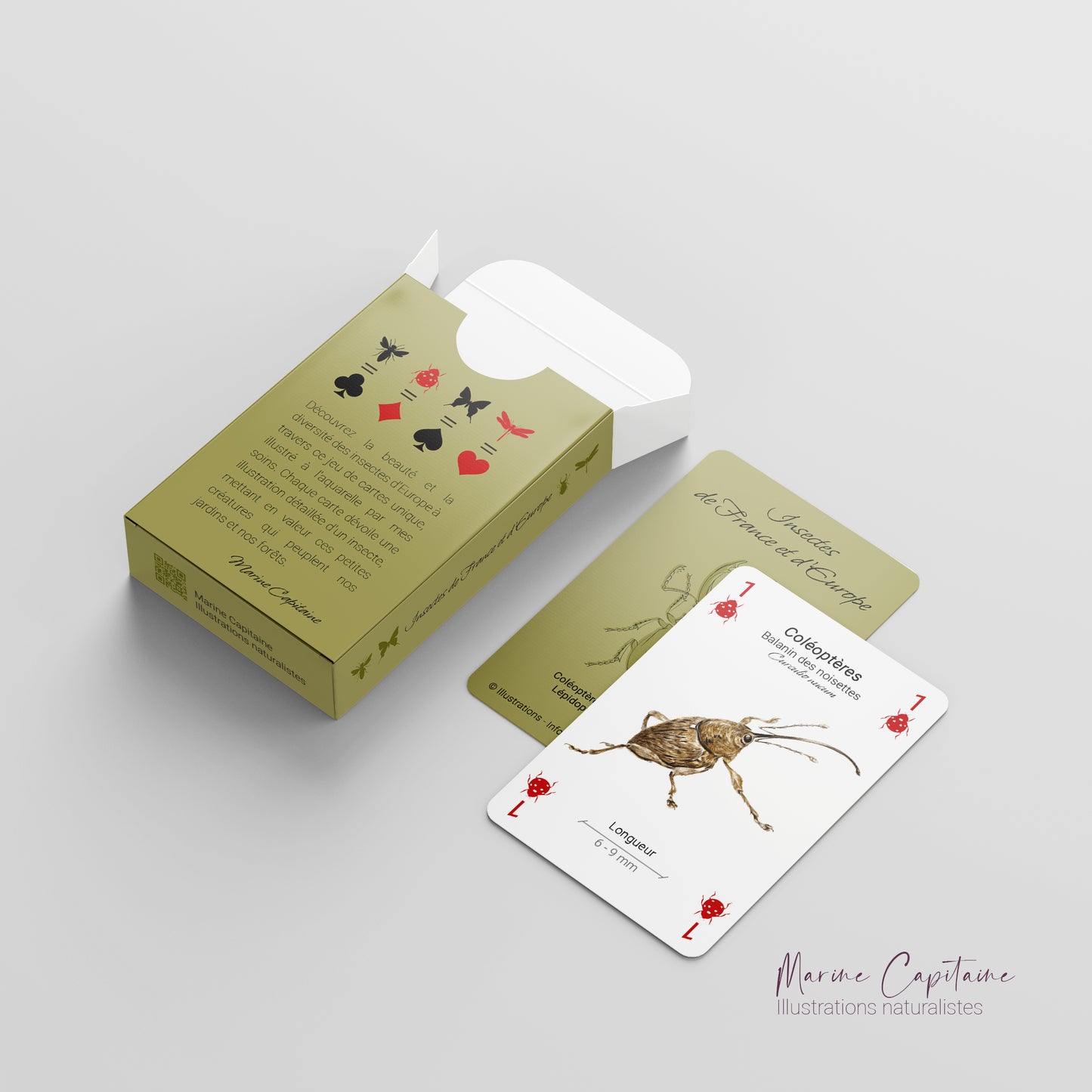 Jeu de 54 cartes, Insectes
