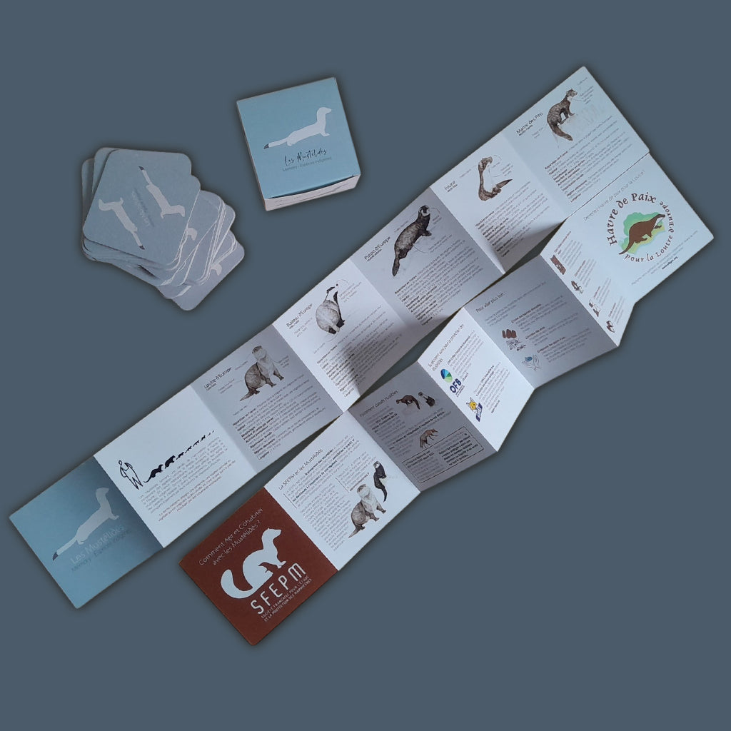 Jeu memory Mustélidé avec ses cartes et les livrets pédagogique et sur la SFEPM