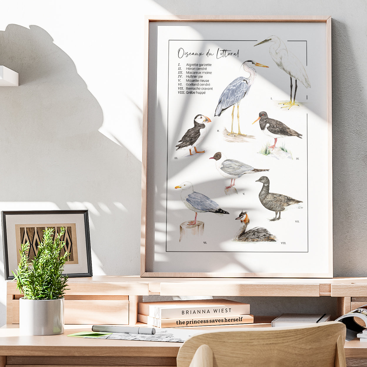 Oiseaux du littoral