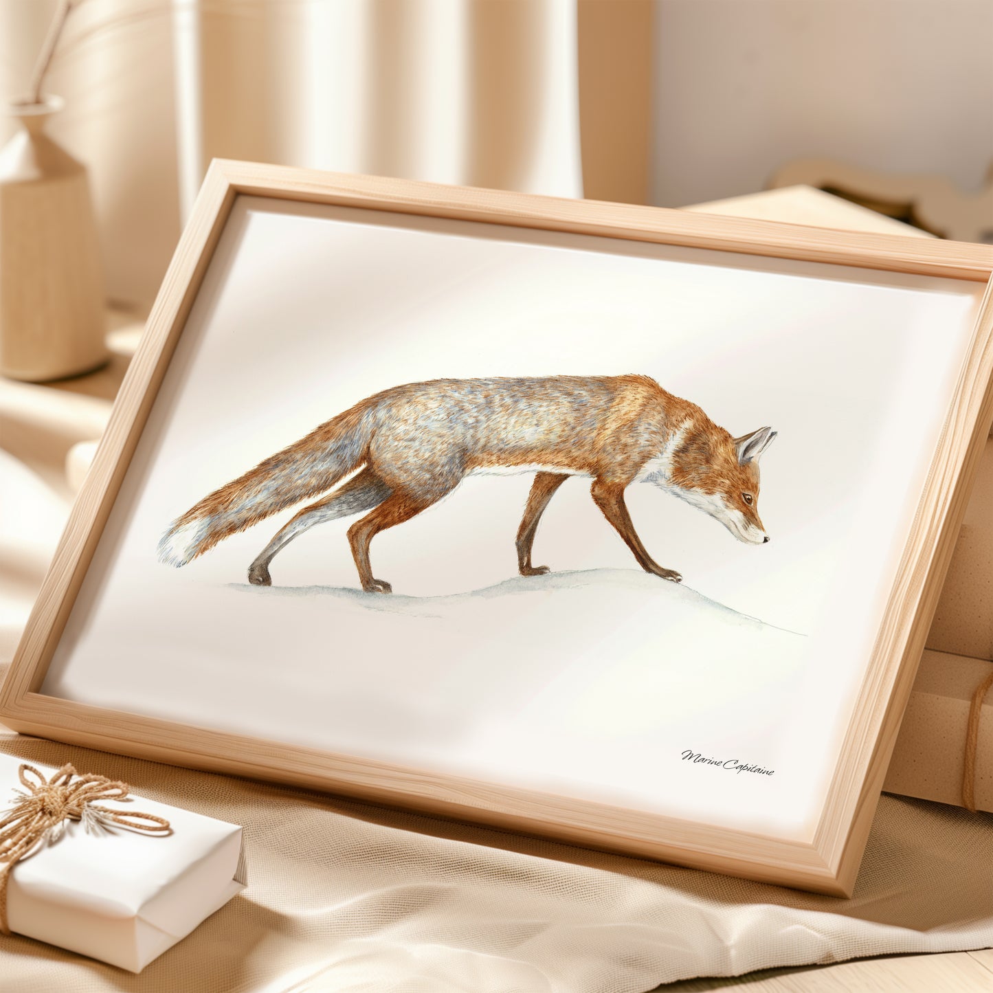 Affiche illustrée du Renard roux encadrée, illustration naturaliste Marine Capitaine