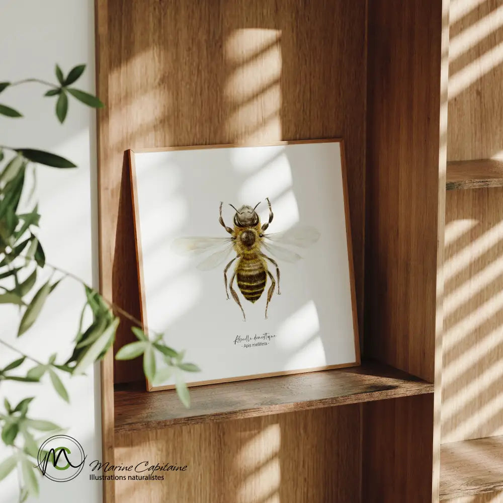 Abeille Affiche