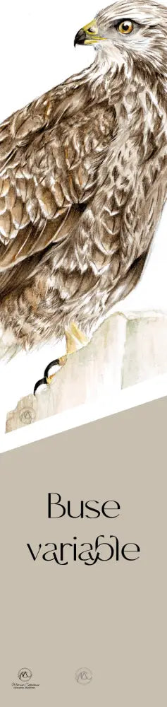 Buse variable Marque que page