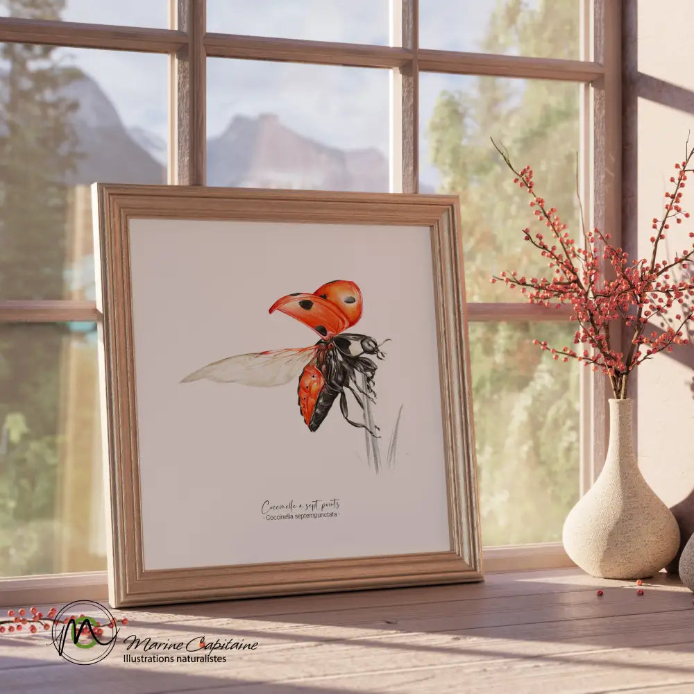 Coccinelle à 7 points Affiche
