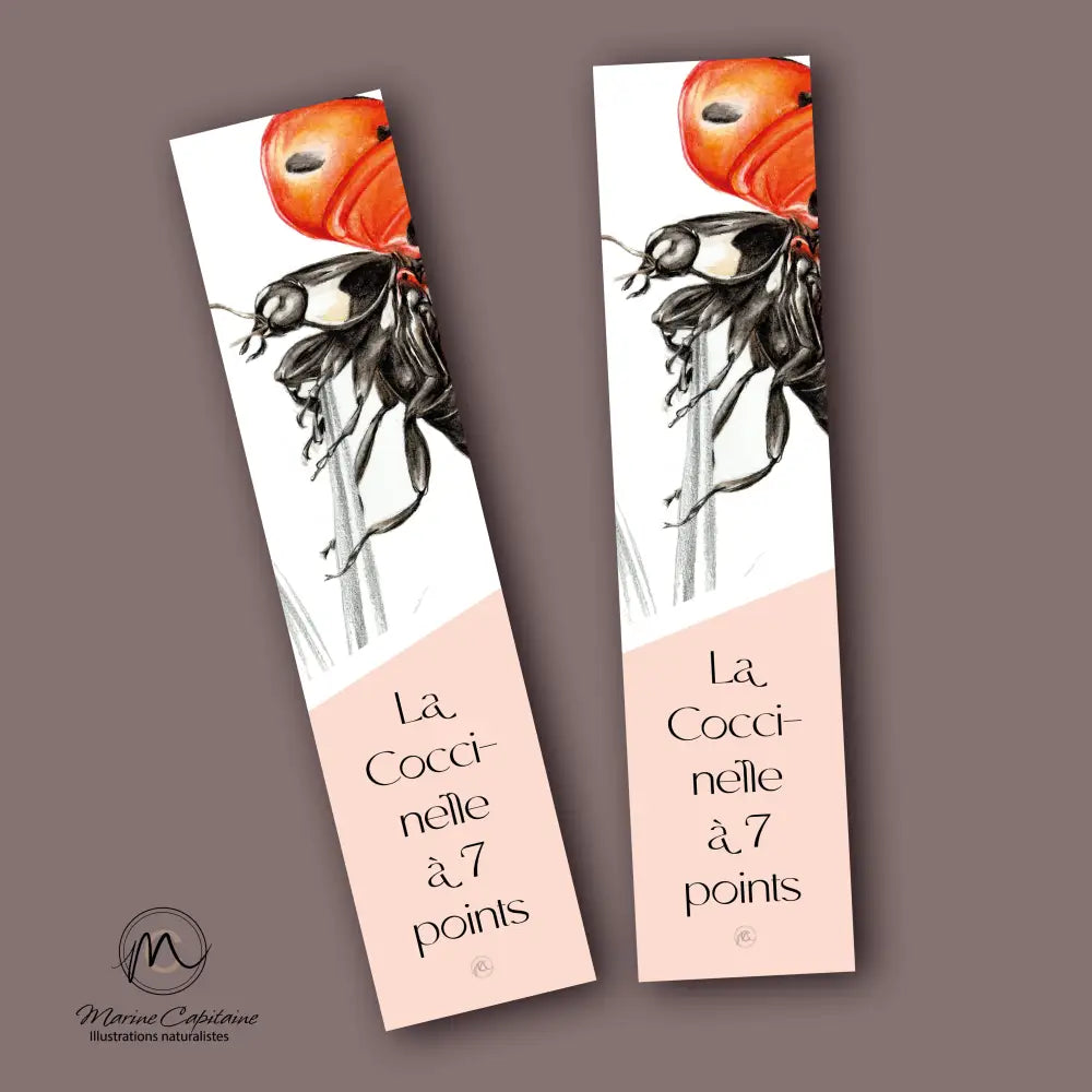 Coccinelle à 7 points Marque que page