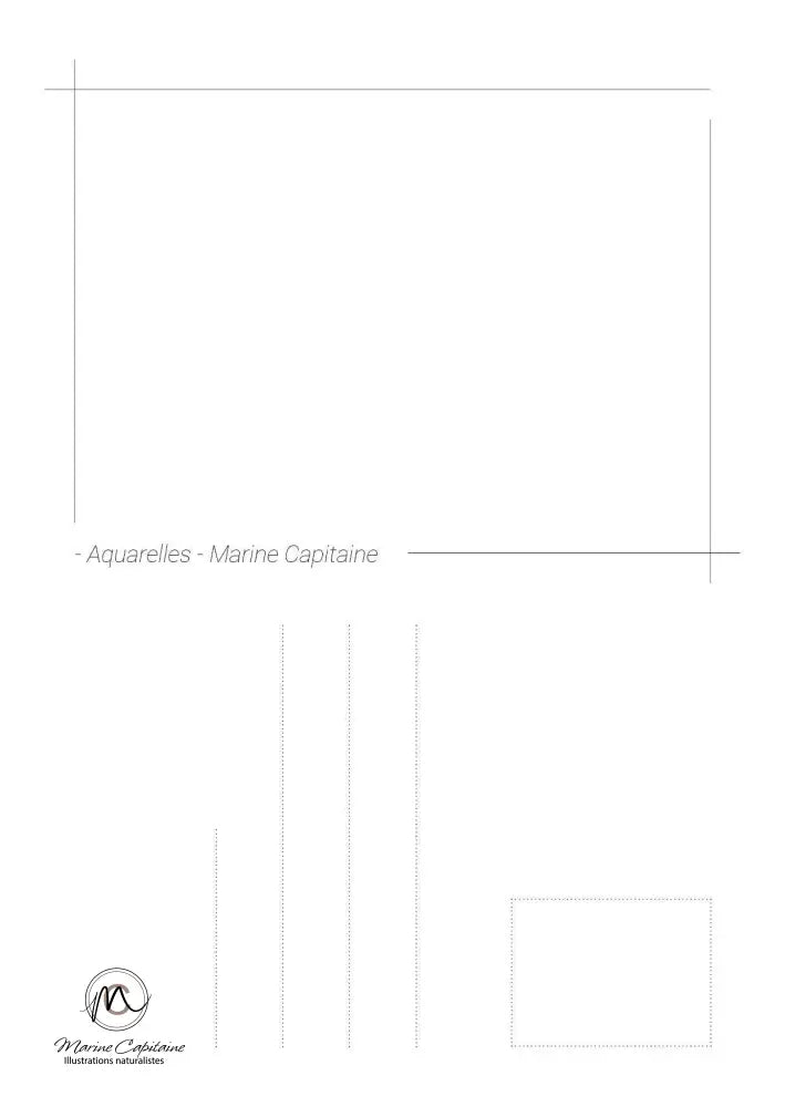Empuse commune carte postale