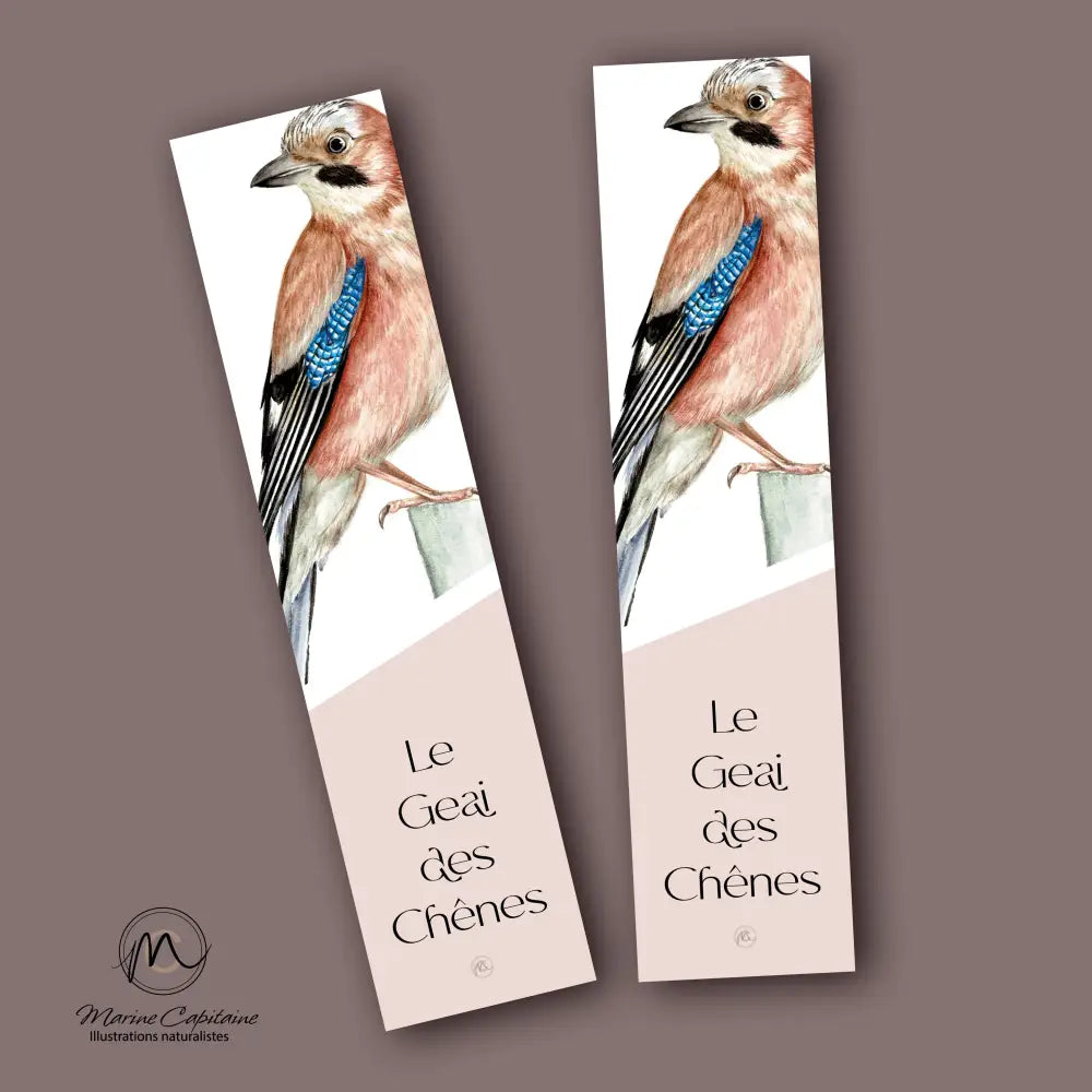 Geai des Chênes Marque page