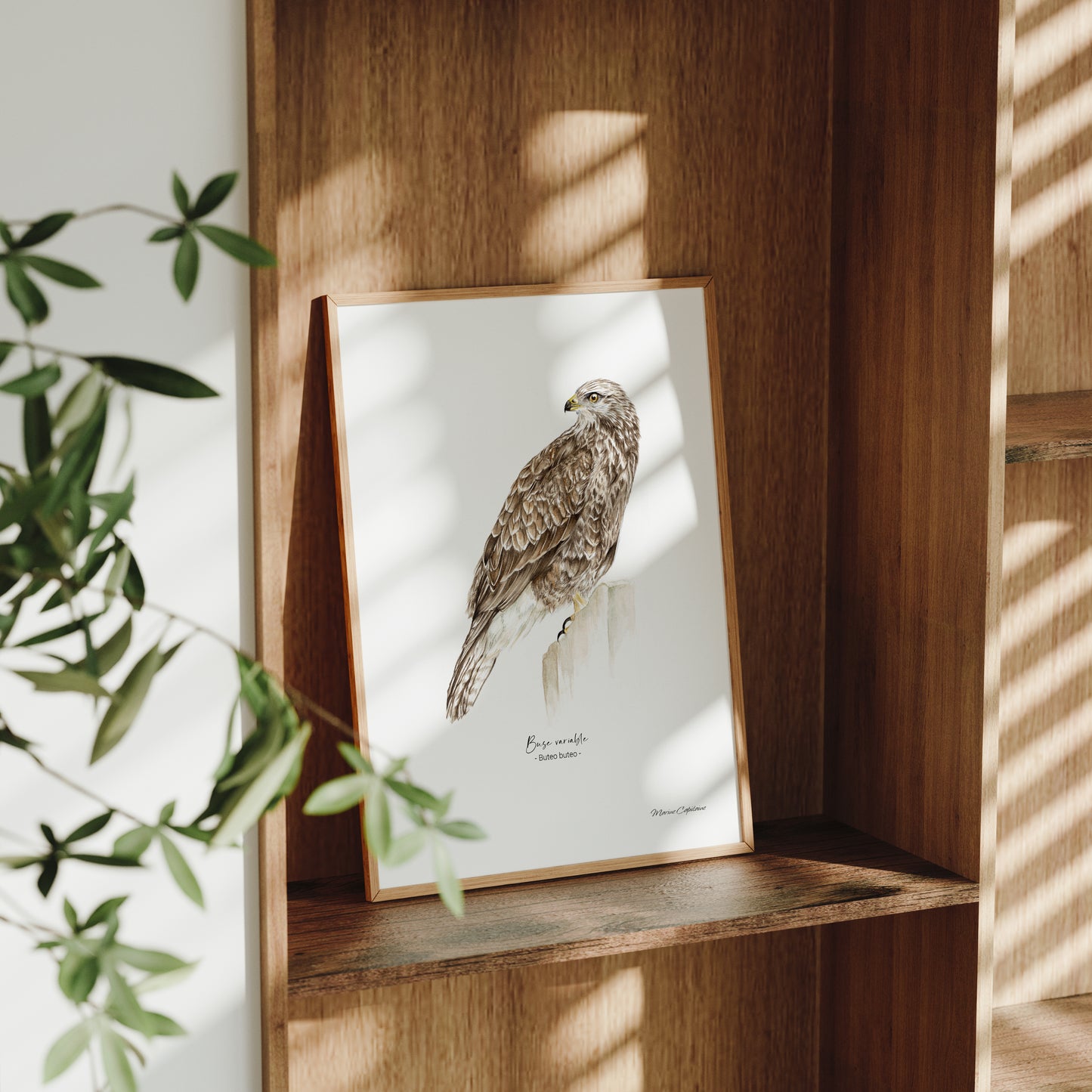 Buse variable
