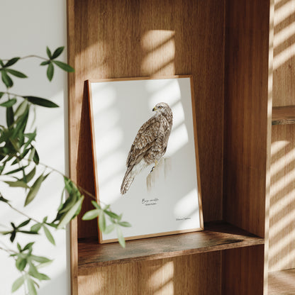 Buse variable