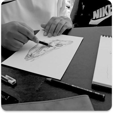 Stagiaire en atelier de dessin naturaliste animé par Marine Capitaine