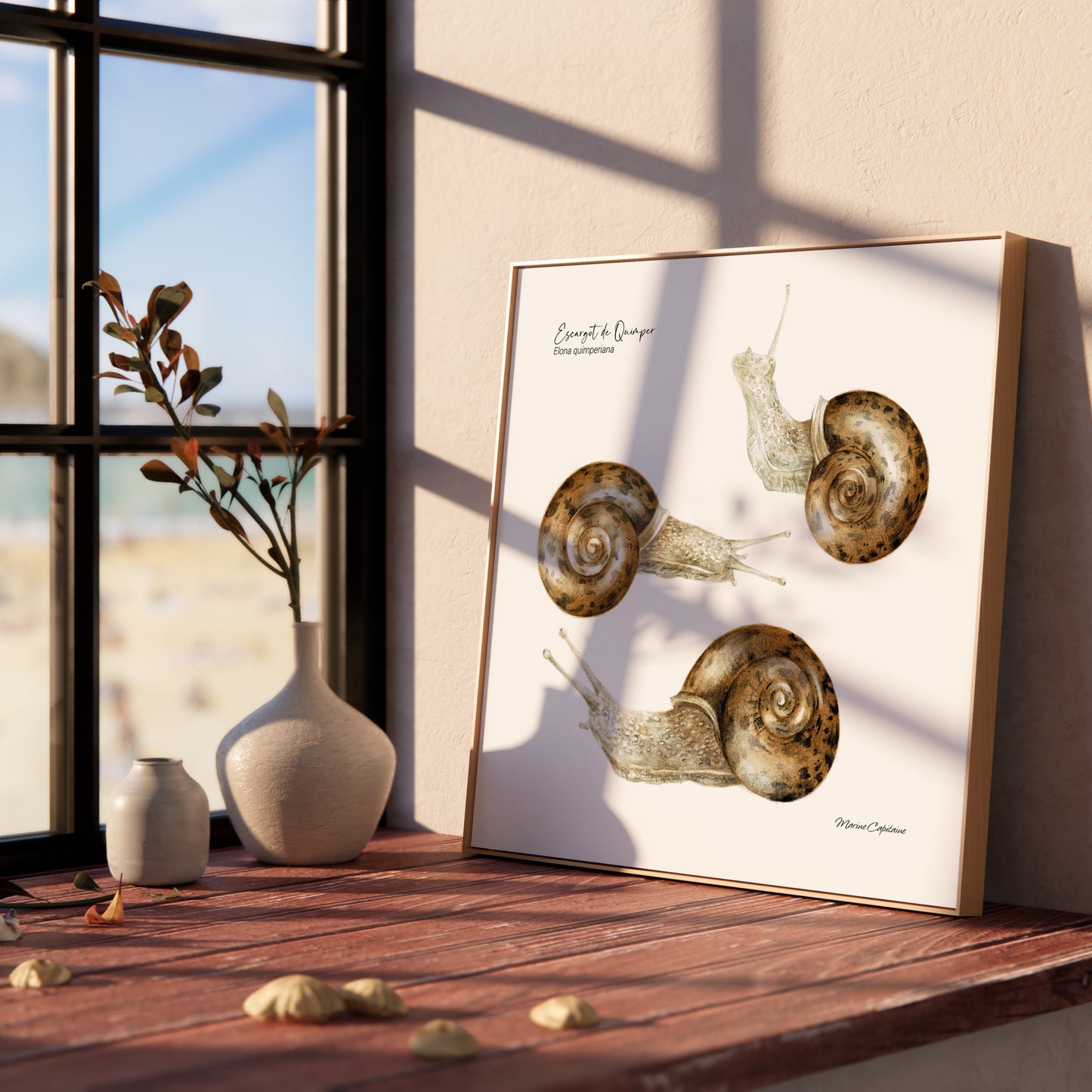 Affiche illustrée de l’escargot de Quimper, gastéropode emblématique de Bretagne – illustration naturaliste Marine Capitaine.