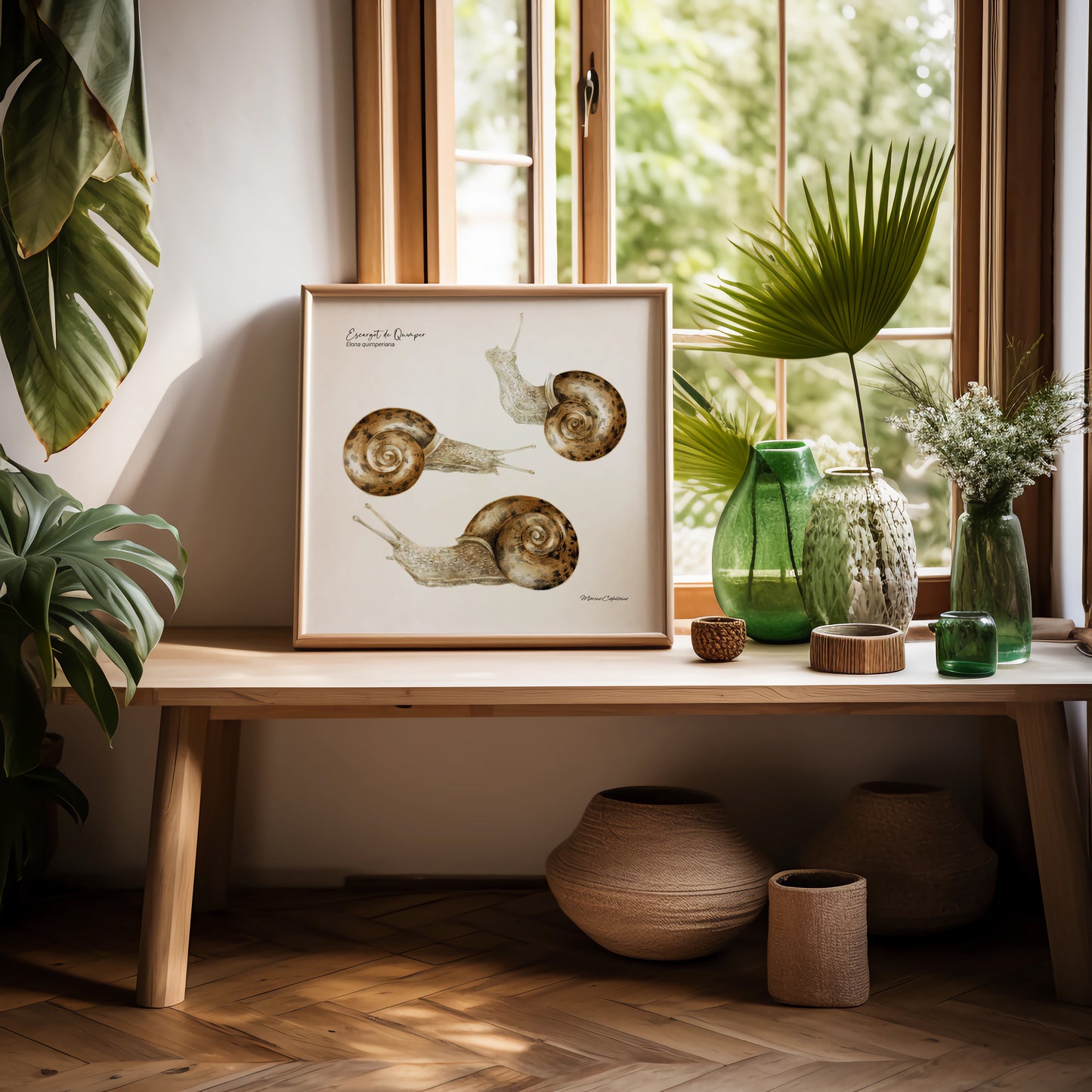 Affiche illustrée de l’escargot de Quimper, gastéropode emblématique de Bretagne – illustration naturaliste Marine Capitaine.