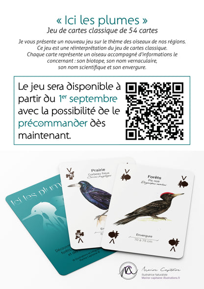 Ici les plumes Pré-commande : Livraison prévue pour le 1er Septembre