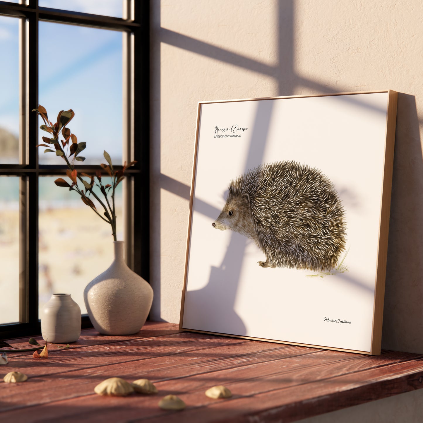 Affiche illustrée d'un hérisson d'Europe, petit mammifère discret de nos jardins – illustration naturaliste Marine Capitaine.