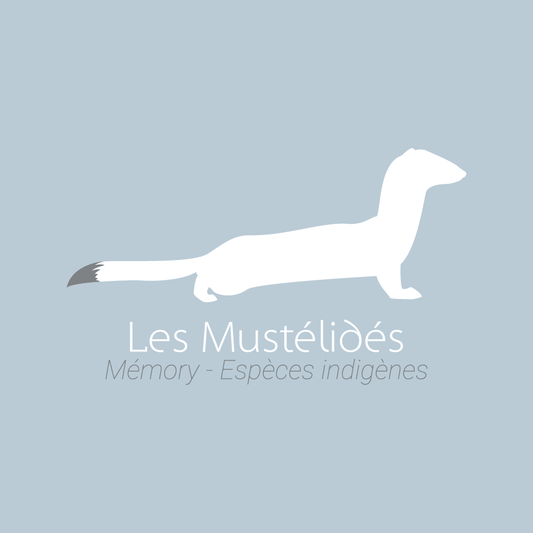 Jeu Memory Mustélidés