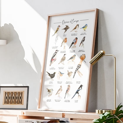 Oiseaux d'Europe Version. 3