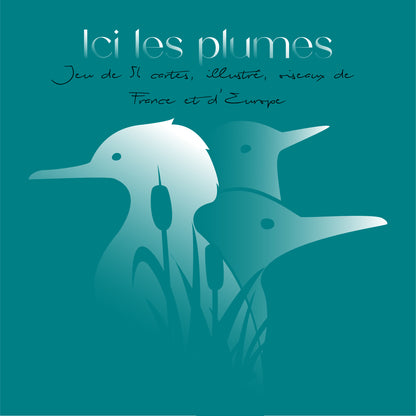 Ici les plumes Pré-commande : Livraison prévue pour le 1er Septembre