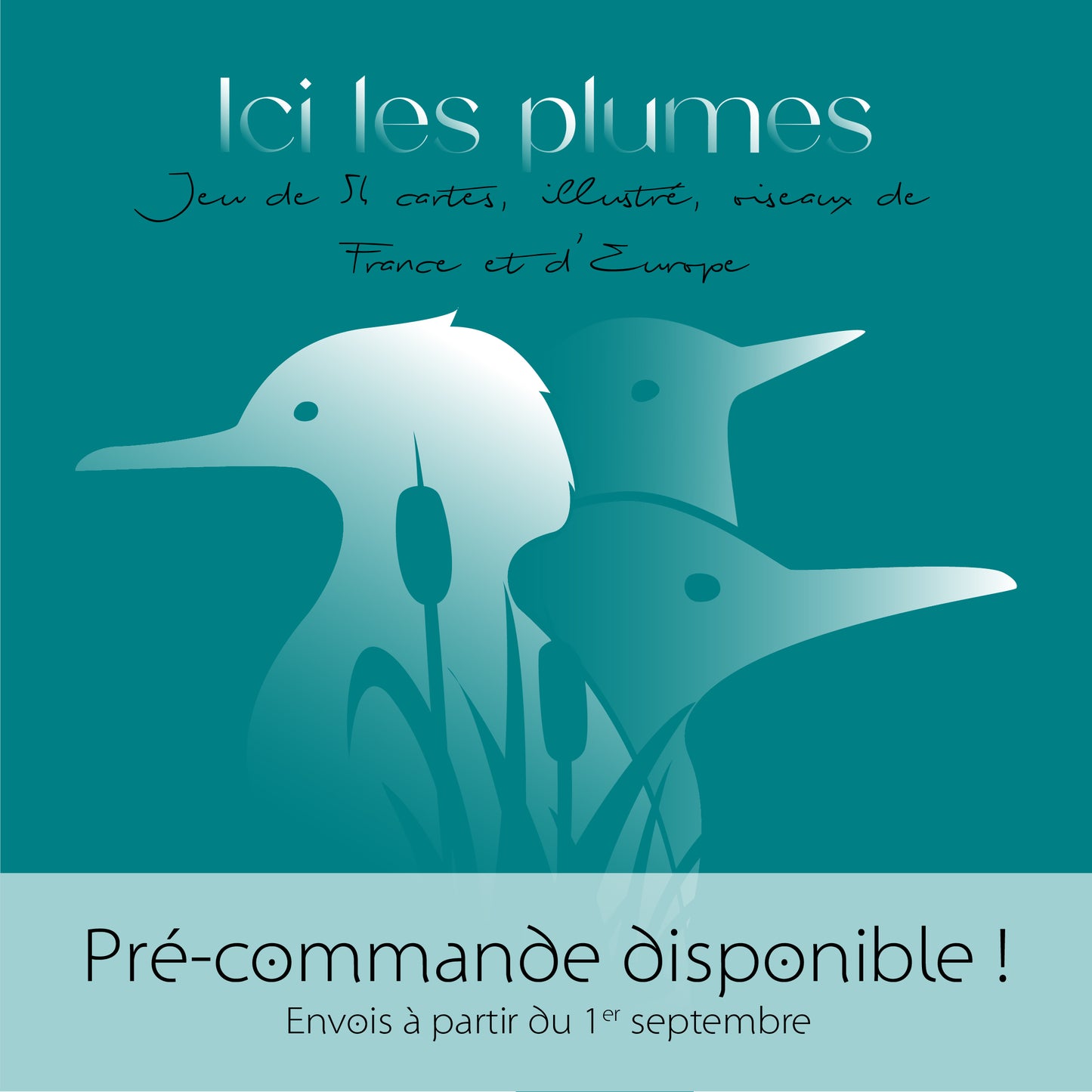 Ici les plumes Pré-commande : Livraison prévue pour le 1er Septembre