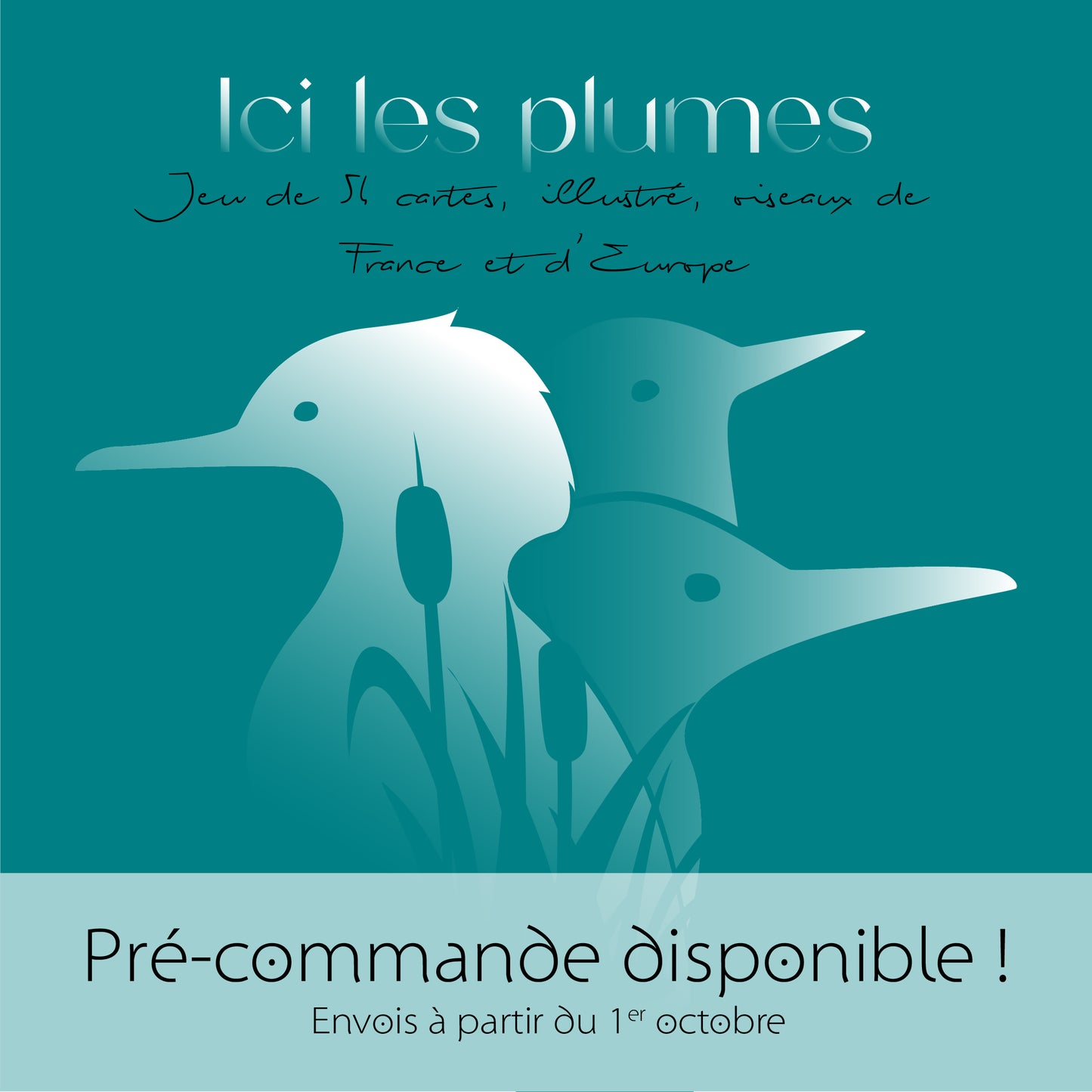 Ici les plumes Pré-commande : Livraison prévue pour le 1er Octobre