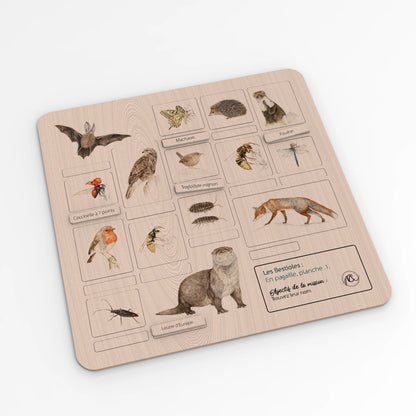 Jeu pédagogique sur les animaux, création de Marine Capitaine. Exemple de planche.