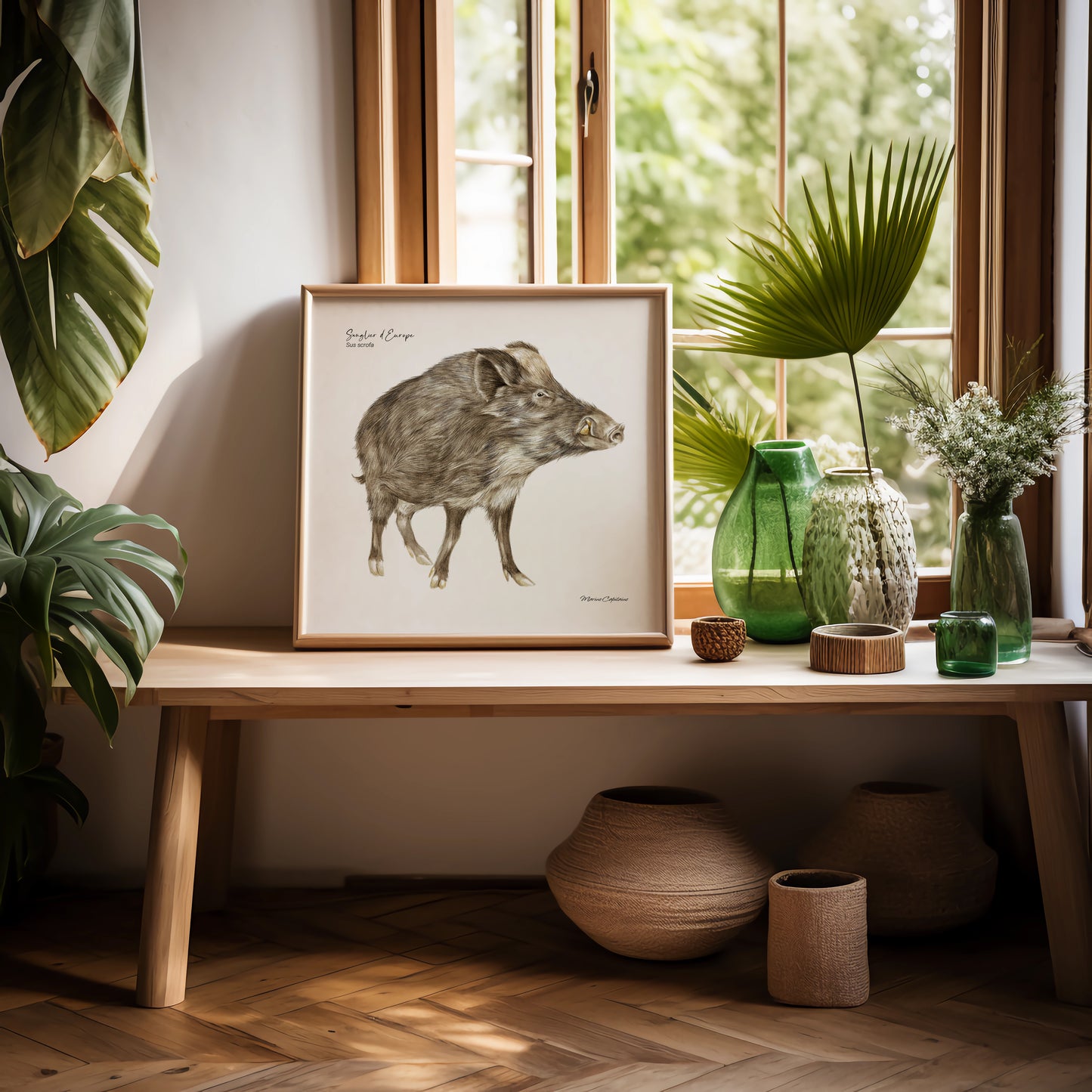 Affiche illustrée d'un Sanglier, imposant mammifère qui peuple nos forêts, illustration naturaliste Marine Capitaine.