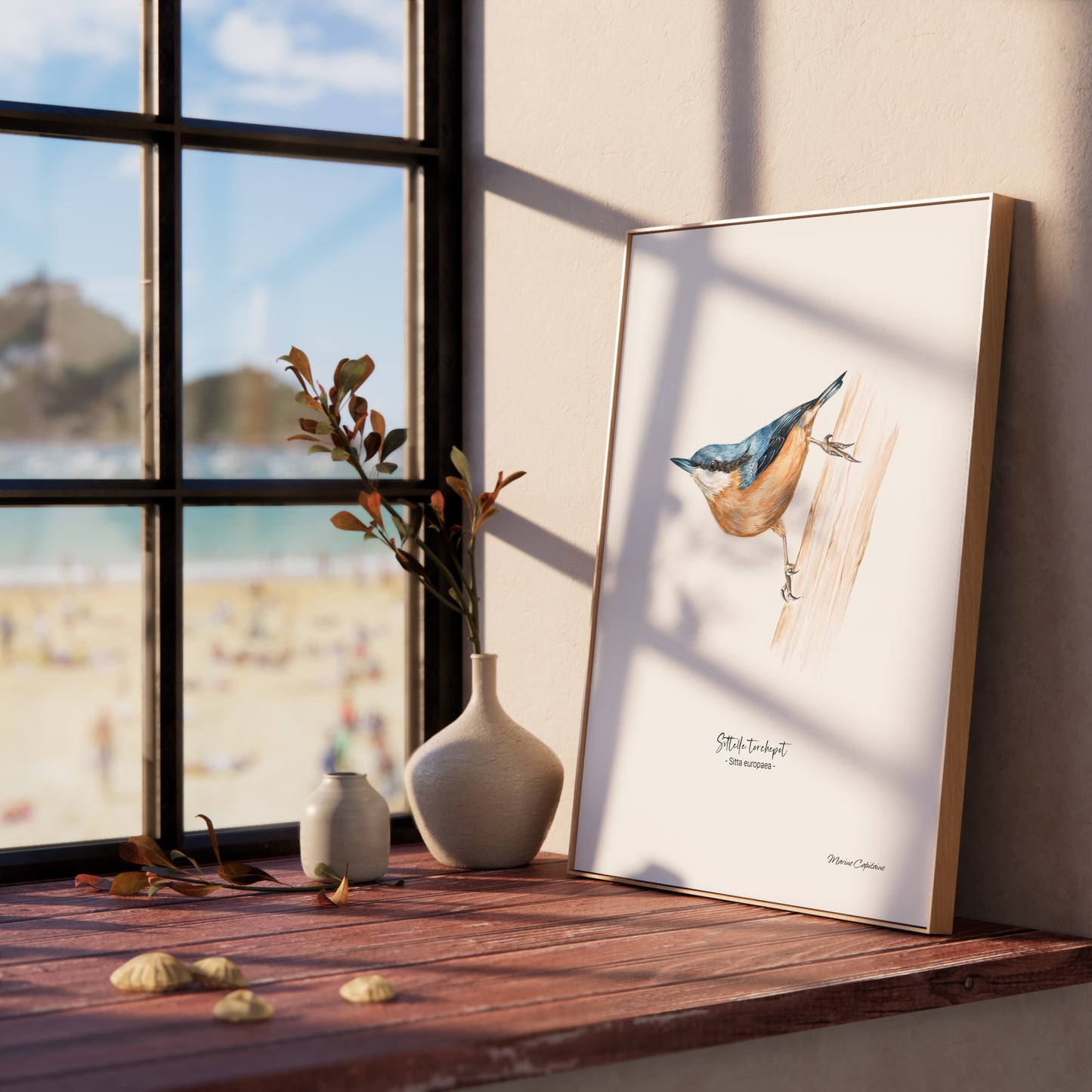 Affiche illustrée de la Sittelle Torchepot encadrée, illustration naturaliste Marine Capitaine