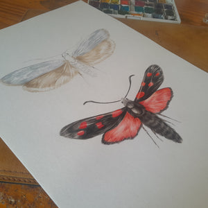 Des papillons en cours de réalisations par Marine Capitaine