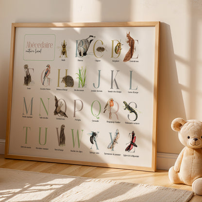 Illustration encadrée de l’abécédaire de la faune et de la flore,  dans un décor composé d'une peluche, apportant une petite touche de douceur.